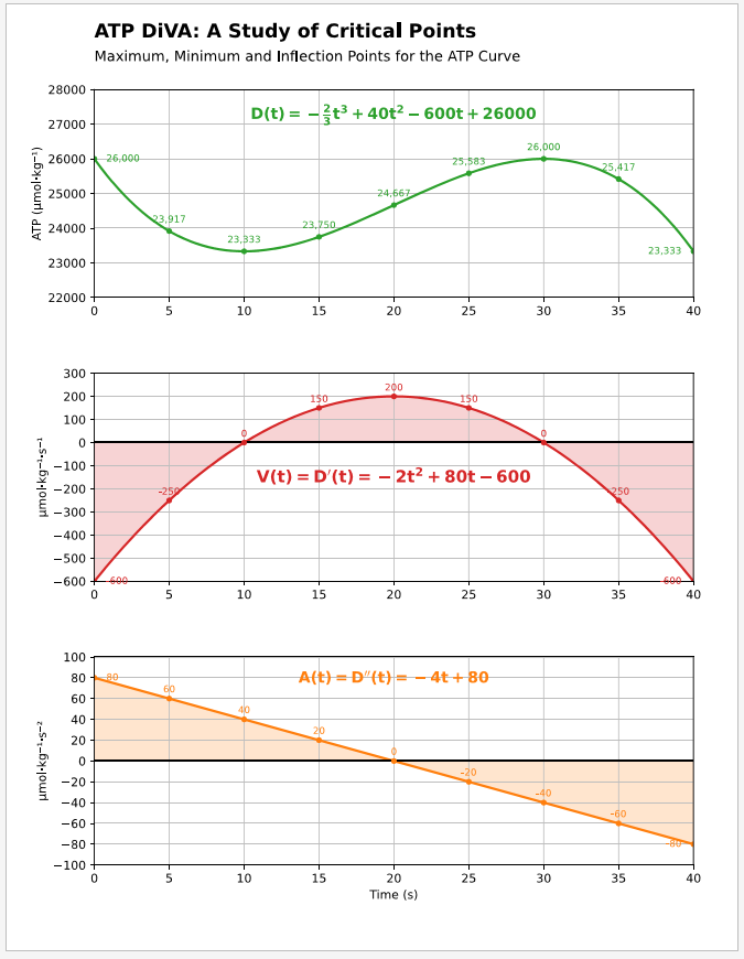 Adventure 13 thumbnail