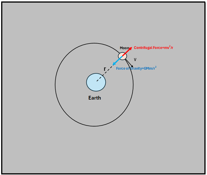 Centrifugal Force Moon's orbit 