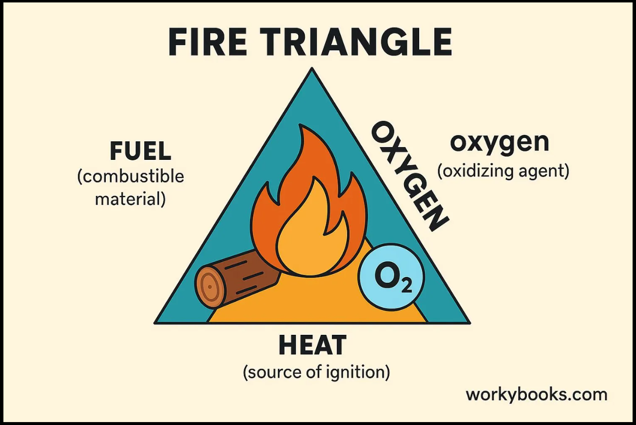 Fire releasing stored solar energy from burning wood