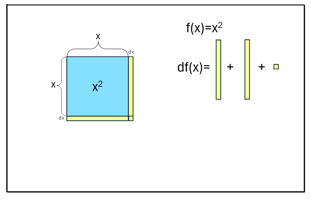 Growing square student image